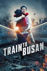 Train to Busan (2016) BluRay 480p & 720p Korean Movie Download