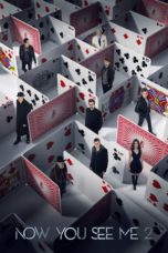 Now You See Me 2 (2016) BluRay 480p & 720p Movie Download