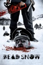 Dead Snow (2009) BluRay 480p & 720p Movie Download and Watch