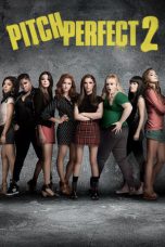 Pitch Perfect 2 (2015) BluRay 480p & 720p Full HD Movie Download