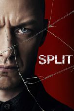 Split (2016) BluRay 480p & 720p Full HD Movie Download