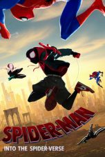 Spider-Man: Into the Spider-Verse (2018) BluRay 480p & 720p HD Movie Download