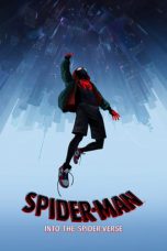 Spider-Man: Into the Spider-Verse (2018) Alternate Cut BluRay 480p & 720p HD Movie Download