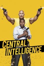 Central Intelligence (2016) BluRay 480p & 720p Free HD Movie Download