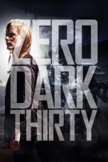 Zero Dark Thirty (2012) BluRay 480p & 720p Free HD Movie Download