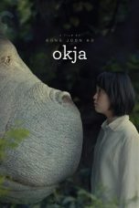 Okja (2017) BluRay 480p, 720p & 1080p Mkvking - Mkvking.com