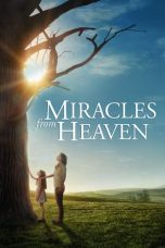 Miracles from Heaven (2016) BluRay 480p & 720p Free HD Movie Download