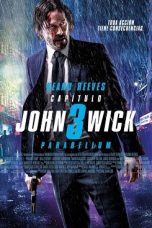 John Wick: Chapter 3 - Parabellum (2019) BluRay 480p & 720p Download