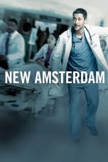 New Amsterdam Season 2 WEB-DL 480p & 720p HD Movie Download