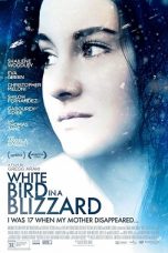 White Bird in a Blizzard (2014) BluRay 480p & 720p Movie Download