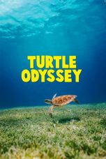 Turtle Odyssey (2018) BluRay 480p & 720p Free HD Movie Download
