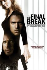 Prison Break: The Final Break (2009) BluRay 480p 720p Movie Download