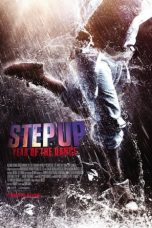 Step Up China (2019) WEBRip 480p & 720p Free HD Movie Download