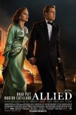 Allied (2016) BluRay 480p & 720p Free HD Movie Download