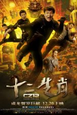 Chinese Zodiac (2012) BluRay 480p & 720p Free HD Movie Download