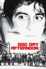Dog Day Afternoon (1975) BluRay 480p & 720p Free HD Movie Download