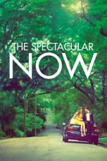 The Spectacular Now (2013) BluRay 480p & 720p Movie Download