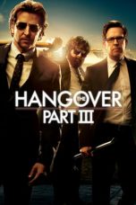 The Hangover Part III (2013) BluRay 480p & 720p Free HD Movie Download