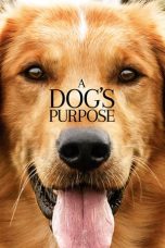 A Dog’s Purpose (2017) BluRay 480p & 720p Free HD Movie Download