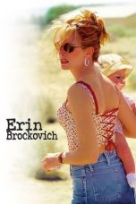 Erin Brockovich (2000) BluRay 480p & 720p Free HD Movie Download