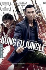 Kung Fu Jungle (2014) BluRay 480p & 720p Free HD Movie Download