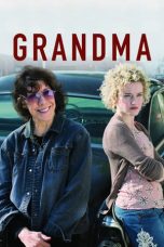 Grandma (2015) BluRay 480p & 720p Free HD Movie Download