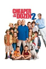 Cheaper by the Dozen 2 (2005) BluRay 480p & 720p Movie Download