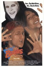 Bill & Ted's Bogus Journey (1991) BluRay 480p & 720p Movie Download