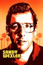 Sandy Wexler (2017) WEBRip 480p | 720p | 1080p Movie Download