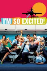 I’m So Excited! (2013) BluRay 480p & 720p Movie Download