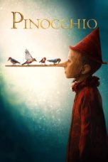 Pinocchio (2019) BluRay 480p, 720p & 1080p Mkvking - Mkvking.com