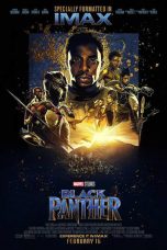 Black Panther (2018) IMAX WEB-DL 480p, 720p & 1080p Mkvking - Mkvking.com