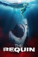 The Requin (2022) BluRay 480p, 720p & 1080p Mkvking - Mkvking.com