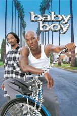 Baby Boy (2001) WEBRip 480p, 720p & 1080p Mkvking - Mkvking.com