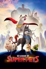 DC League of Super-Pets (2022) BluRay 480p, 720p & 1080p Mkvking - Mkvking.com