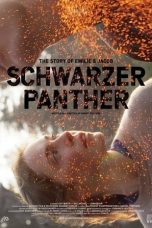 Black Panther (2014) WEBRip 480p, 720p & 1080p Mkvking - Mkvking.com