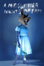 Julie Taymor's A Midsummer Night's Dream (2014) BluRay 480p, 720p & 1080p Mkvking - Mkvking.com