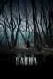 Sauna (2008) BluRay 480p, 720p & 1080p Full HD Movie Download