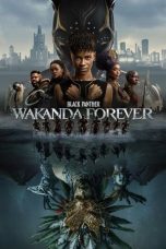 Black Panther: Wakanda Forever (2022) BluRay 480p, 720p & 1080p Full HD Movie Download