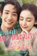 Don't Forget I Love You (2022) WEBRip 480p, 720p & 1080p Full HD Movie Download