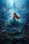 The Little Mermaid (2023) BluRay 480p, 720p & 1080p Full HD Movie Download