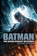 Batman: The Dark Knight Returns (2012) BluRay 480p, 720p & 1080p Full HD Movie Download