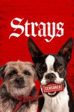Strays (2023) WEB-DL 480p, 720p & 1080p Full HD Movie Download