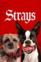 Strays (2023) WEB-DL 480p, 720p & 1080p Full HD Movie Download