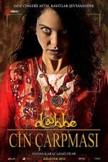 Dabbe: The Possession (2013) WEB-DL 480p, 720p & 1080p Full HD Movie Download